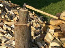 Продам дрова твердих порід (дуб, ясен, берест) - колоті