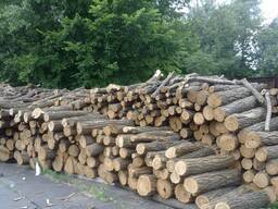 Продам дрова твердих порід Клен Акація
