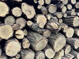 Продам дрова твёрдые породы - фото 2