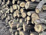 Продам дрова твёрдые породы - фото 3