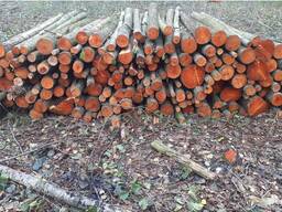 Продам дрова вільха береза у великій кількості, кругляк або рубані.