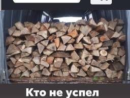 Продам дрова дуб, ясень