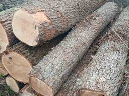Продам дуб пиловочник от 2 метров до 4 метров сорт а, в, с, д разных диаметров