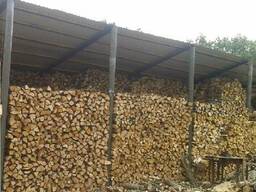 Продам дубовые дрова на экспорт FCA