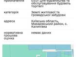 Продам фасадній участок 75 соток под коммерцию в с. Калиновка, Макаровский район - фото 3
