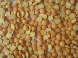 Продам горох желтый (колотый) полированный контейнерными па