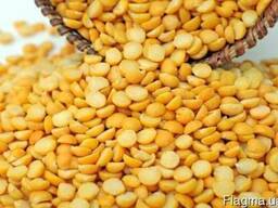 Продам горох жовтий