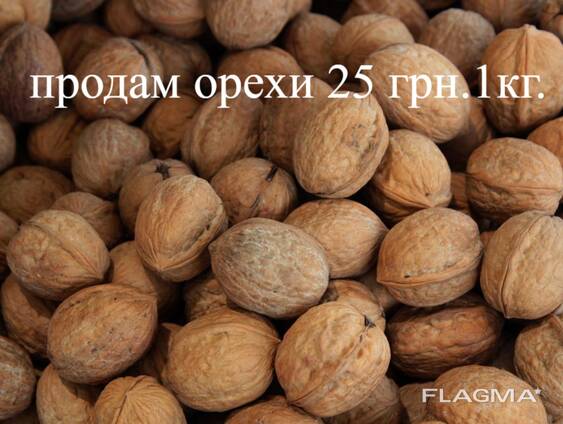 Продам грецкий орех