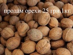 Продам грецкий орех