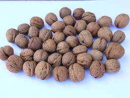 Продам грецкий орех 28 2019 года