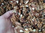 Продам грецкий орех бабочку микс - фото 1