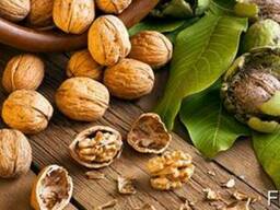 Продам грецкий орех кругляк