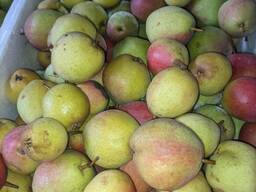 Продам груши из своего сада