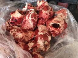 Продам калтик яловий