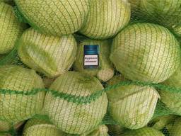 Продам капусту белокочанная урожай 2021 года