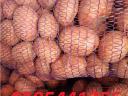 Продам картофель