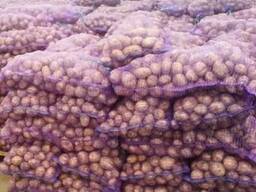 Продам картофель для столовых