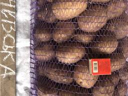 Продам картоплю продовольчу