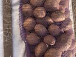 Продам картоплю продовольчу - фото 3