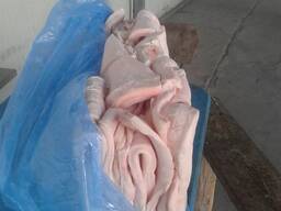 Продам Хребет Animex