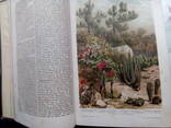 Продам книгу .1897г. Том Энциклопедии - фото 1