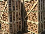 Продам колоті дрова камерної сушки - фото 7