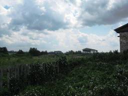 Продам комплекс на 5,38 га земли (с. Моргуличи)