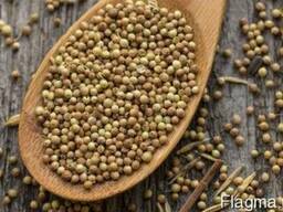Продам Кориандр