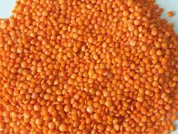 Продам красную чечевицу- новый урожай 2020г
