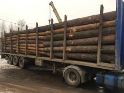 Продам Кругляк Сосна