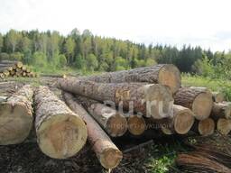 Продам ЛЕС кругляк 4,5/6м