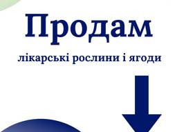 Продам лікарські РОСЛИНИ | ОПТ (лік трави і ягоди)
