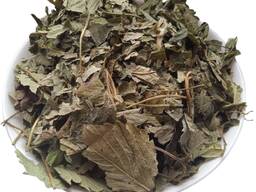 Продам листя полуниці