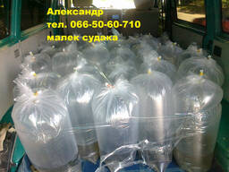 Продам малек (зарыбок) судака  
