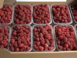 Продам Малину свежую В Евротарах 40 грн за 1 кг.
