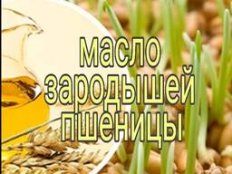 Продам масло зародышей пшеницы