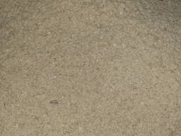 Продам мучку гороха .