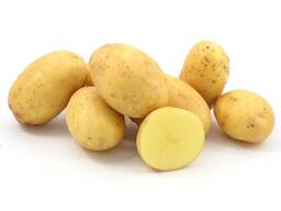 Продам насіння картоплі сорту Гранада у роздріб. Кур'єрська доставка