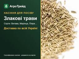 Продам насіння злакових трав: Витава, Марінца — еліта, РН-1