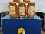 Продам натуральний мед зі своєї пасіки.