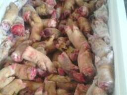 Продам ножки свиные