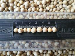 Продам нут, сорт Розана, урожай 2018Г