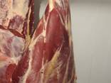 Продам оптом и в розницу молодую ягнятину и телятину HALAL - фото 3
