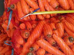 Продам оптом морковь мытую 2 сорт