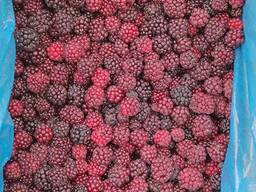 Продам ожину культивовану. Свіжоморожена