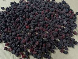 Продам ожину культивовану. Свіжоморожена