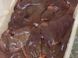 Продам печень свинину