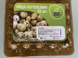 Продам перепелиные яйца ОПТОМ