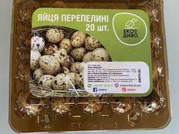Продам перепелиные яйца оптом и крупным оптом
