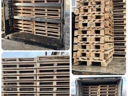 Продам піддони Нові 1200*800